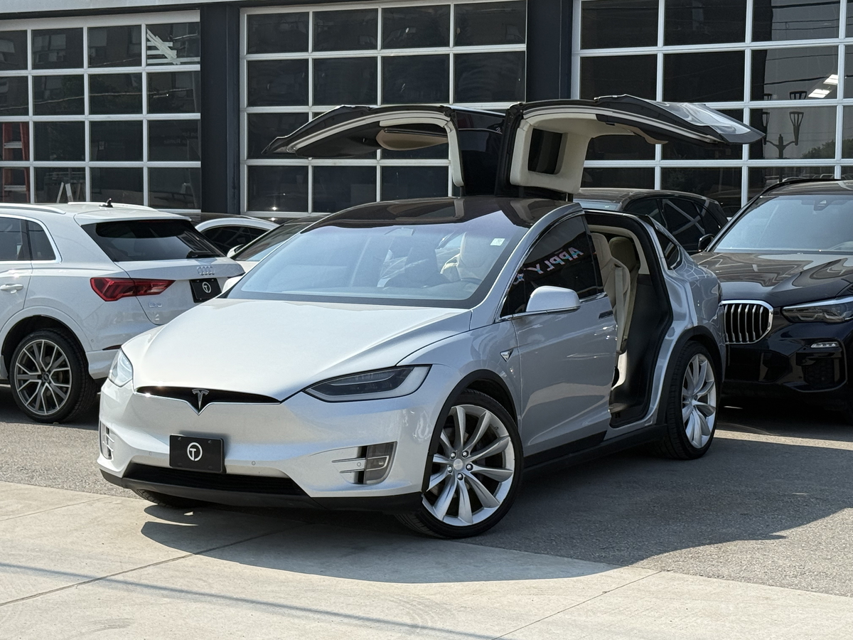2017 Tesla Model X