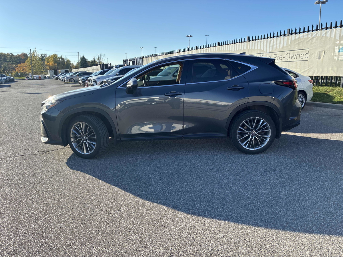 2022 Lexus NX 350h