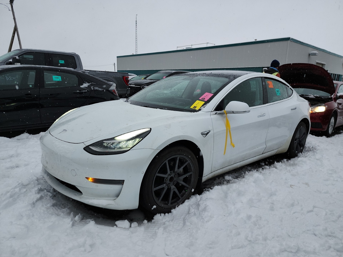 2020 Tesla Model 3